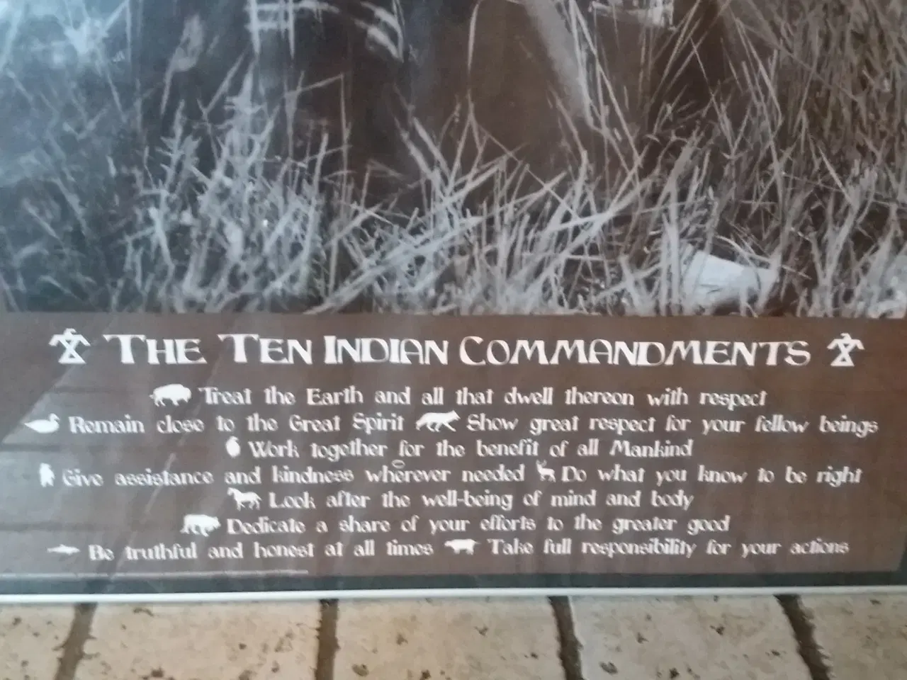 Billede 2 - Plakat med indianer