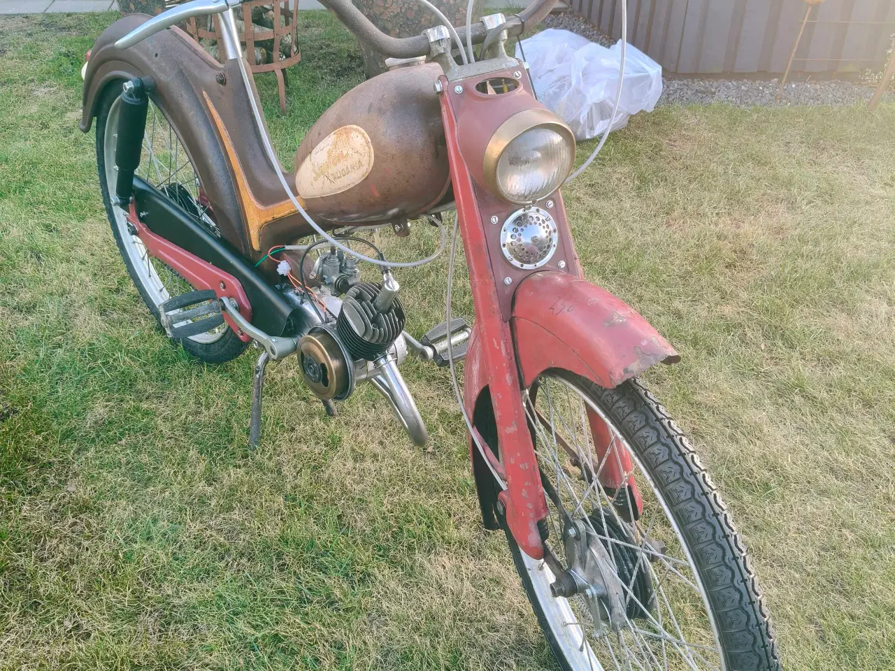 Billede 1 - Skylon alidania