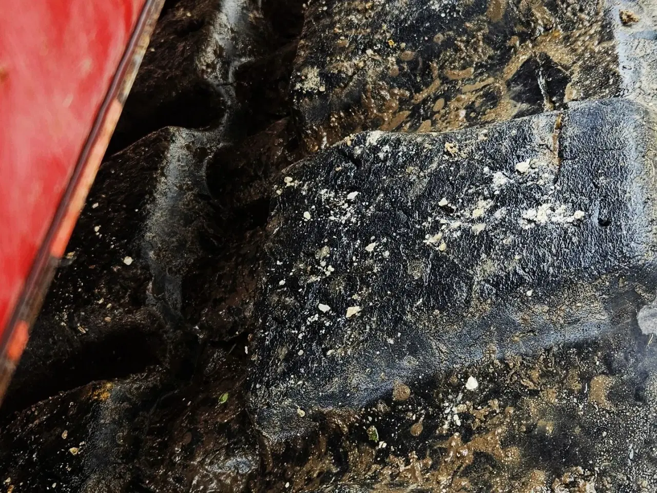 Billede 12 - Takeuchi TB1140 Serie 2 / årgang 2014 / med skovlsæt / 6300 timer