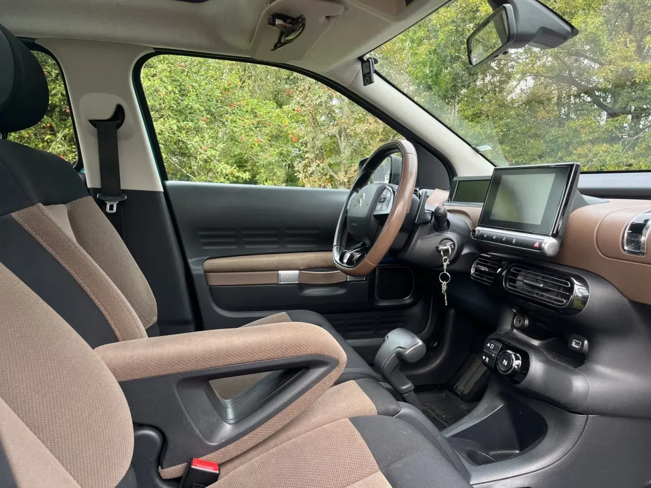 Billede 12 - Citroën C4 Cactus 1,6 BlueHDi 100 Shine ETG6 Van