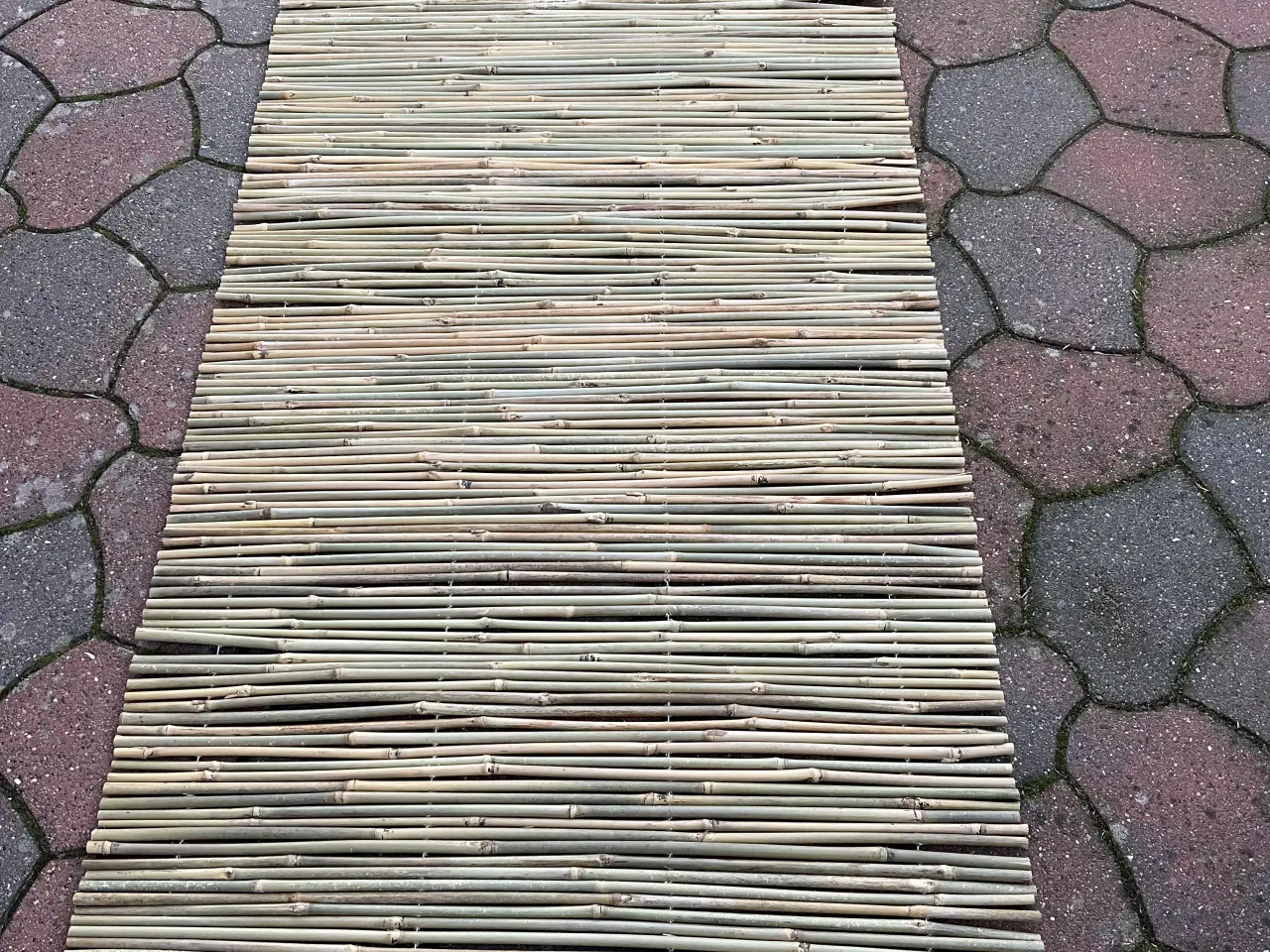 Billede 1 - Bambus hegn 1 x 3 m