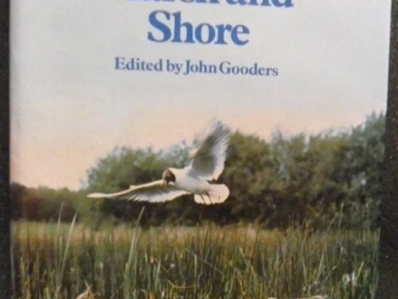 Billede 4 - Orbis Encyclopedia of Birds of Britain and Europe