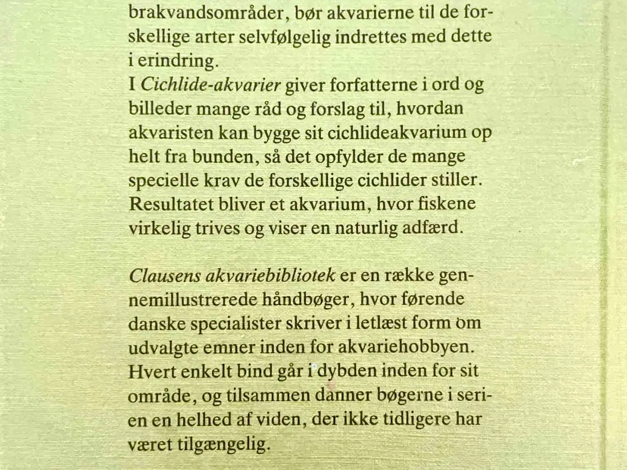 Billede 7 - Cichlide-akvarier Benny B. Larsen 