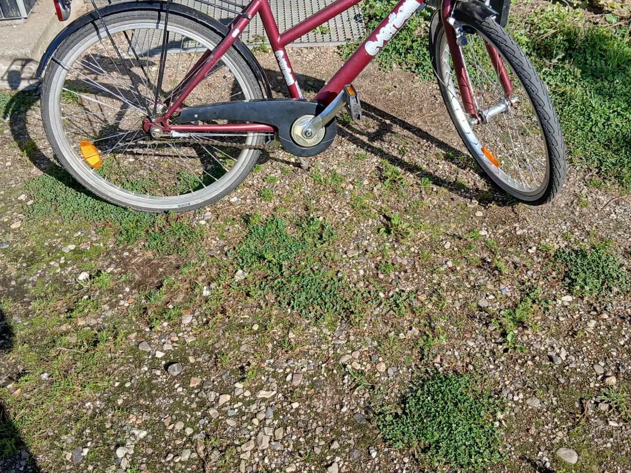 Billede 1 - pigecykel