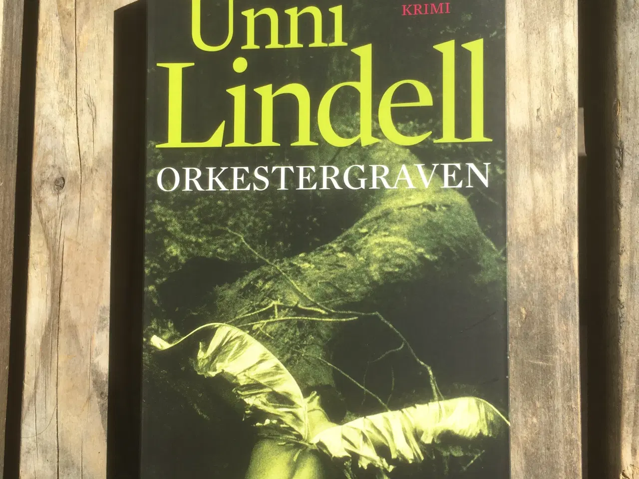 Billede 1 - Orkestergraven, Unni Lindell