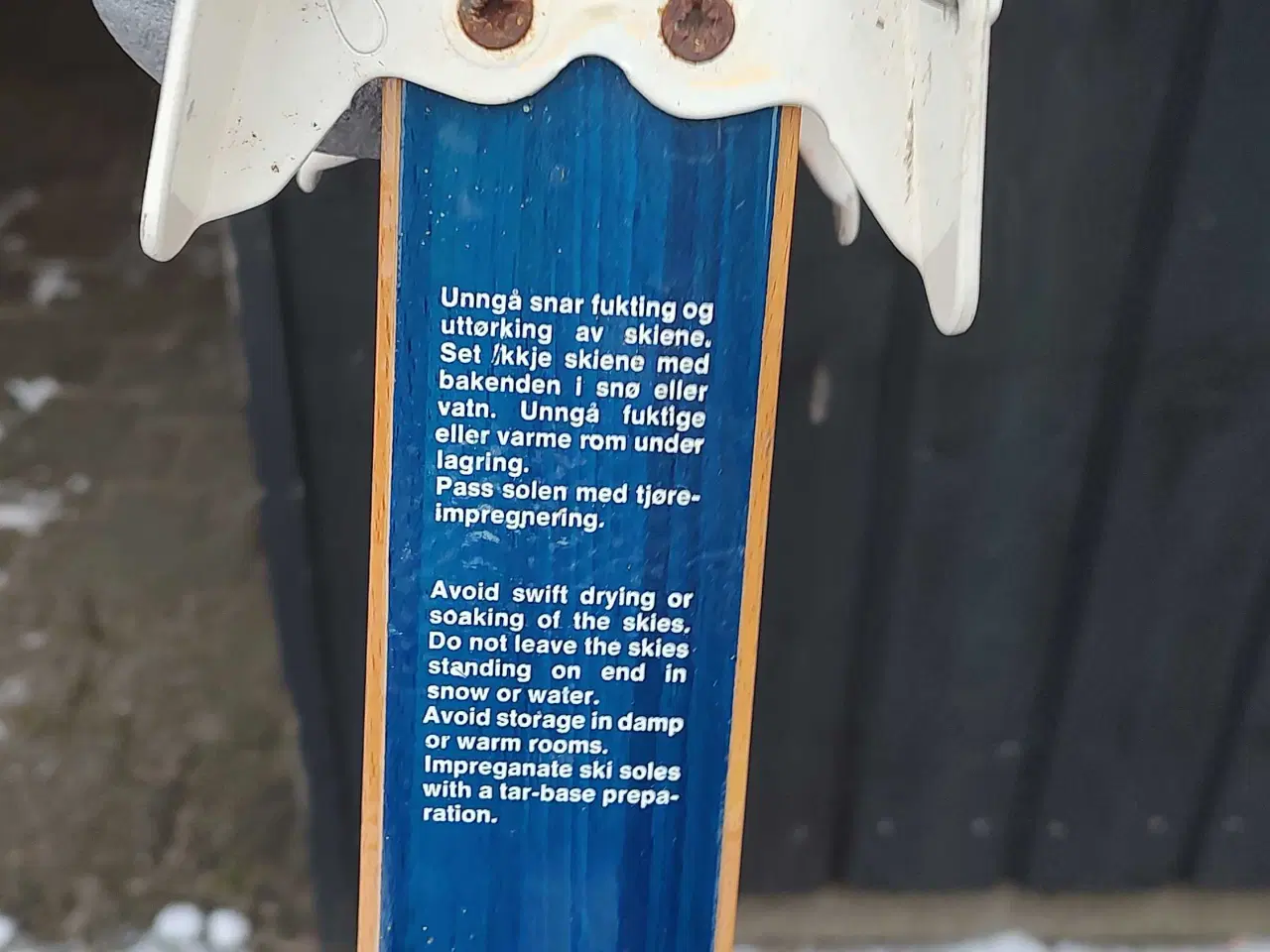 Billede 3 - Langrendsski 