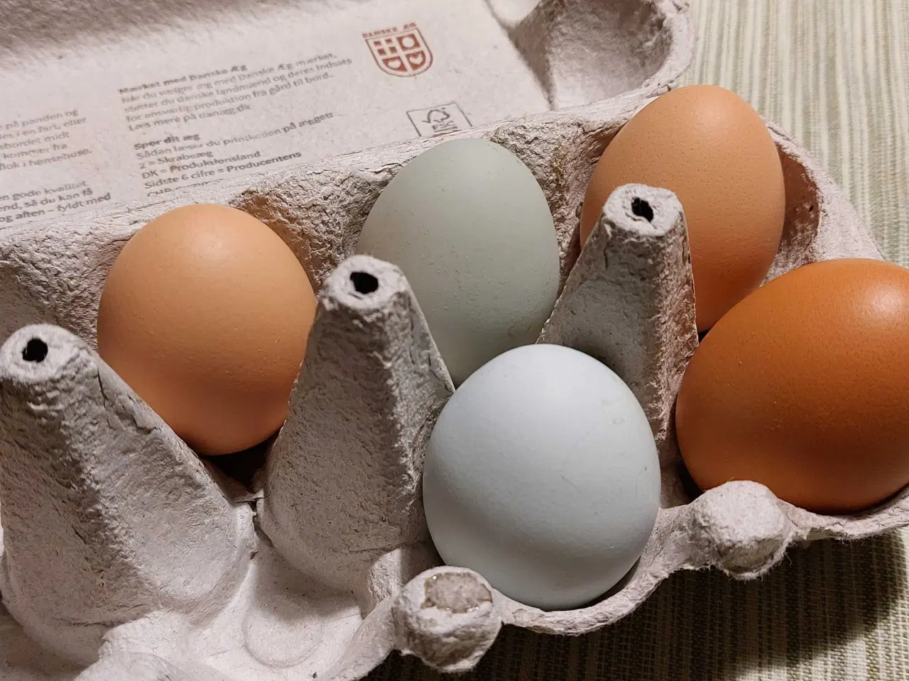 Billede 1 - Blå rugeæg fra blålæggerhøner