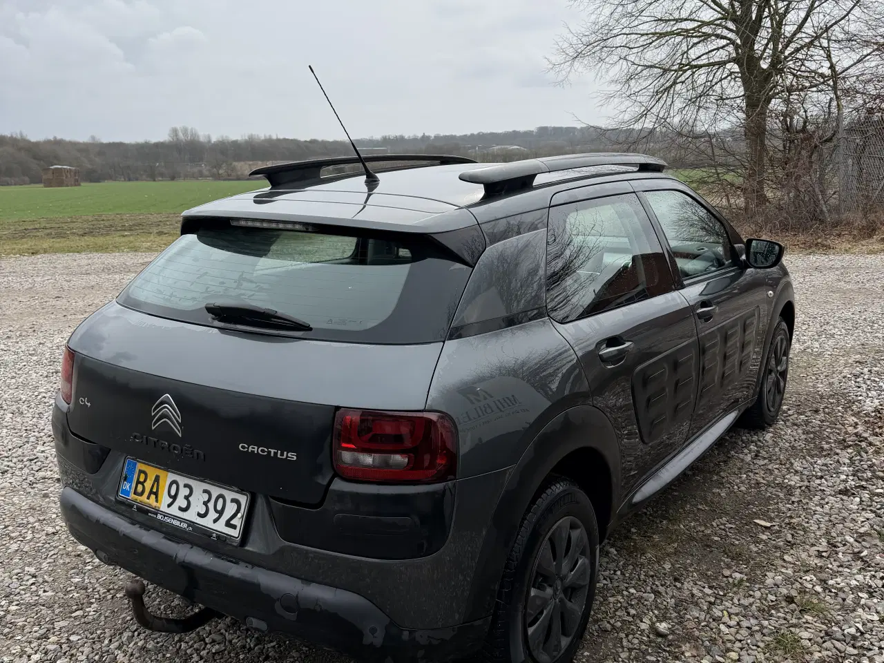 Billede 4 - Citroen c4 cactus van