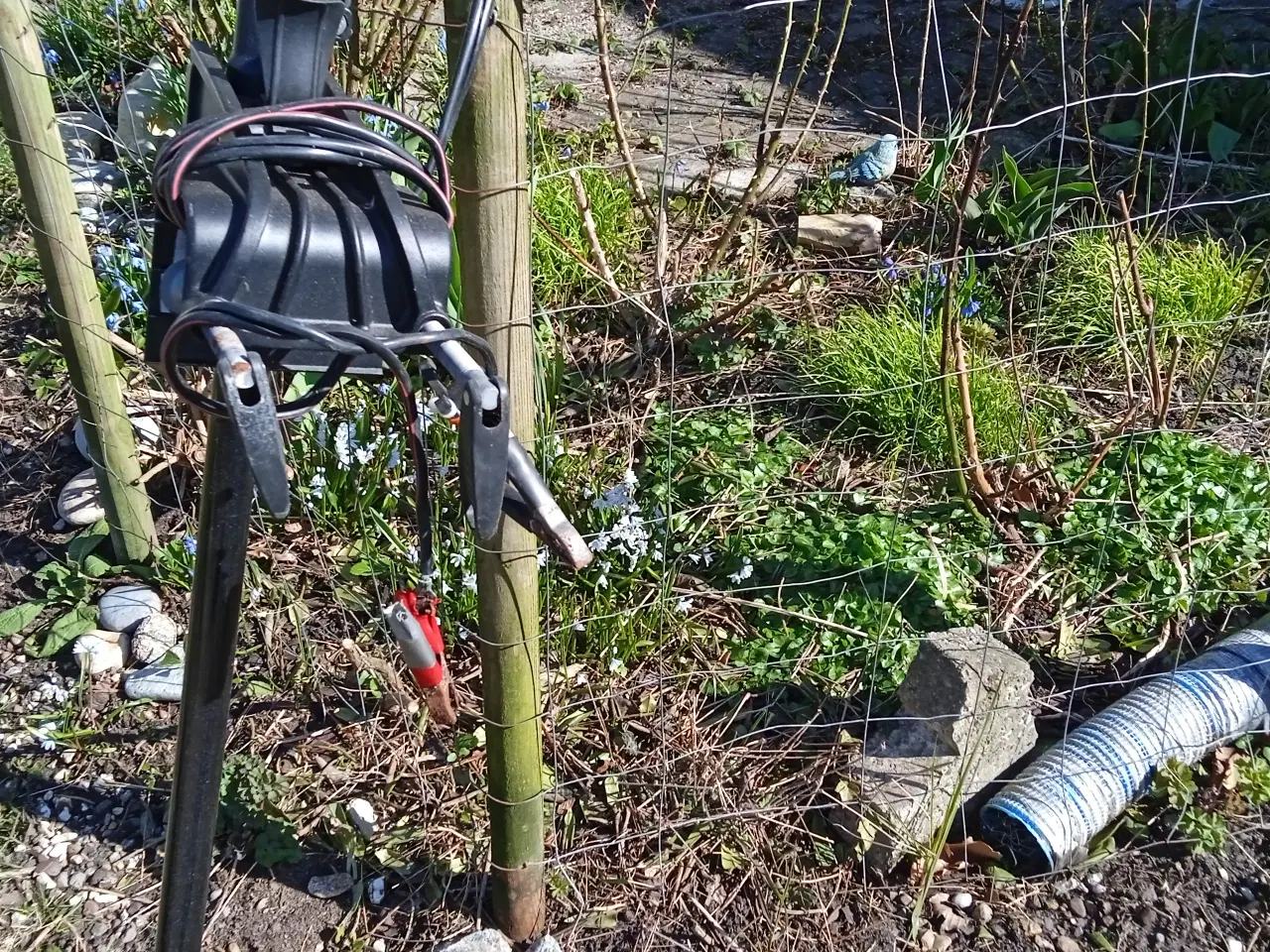 Billede 3 - elektrisk påhængsmotor