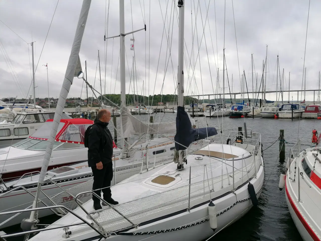 Billede 3 - 31 Fods sejlbåd til salg