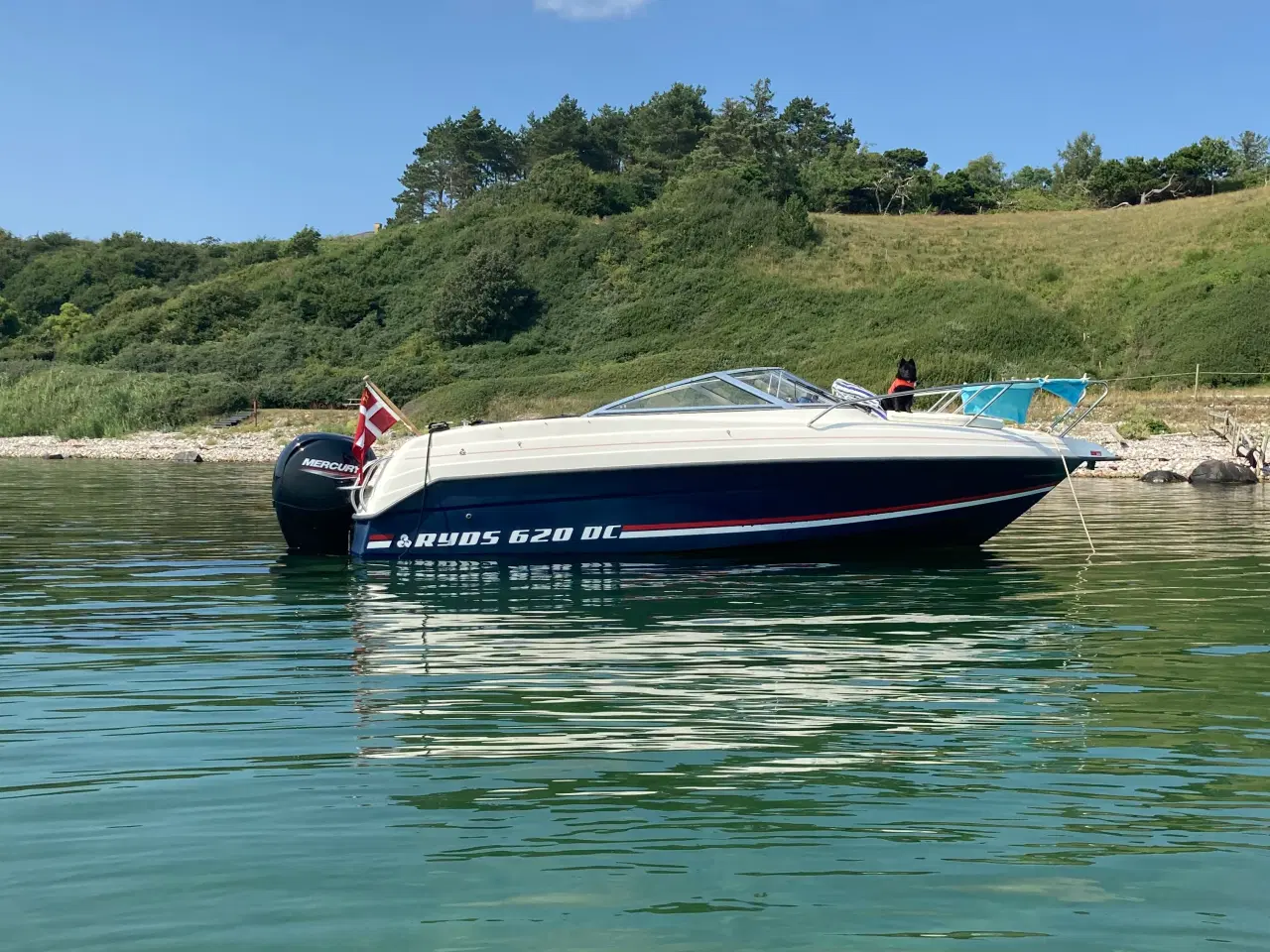 Billede 1 - Ryds 620 DC