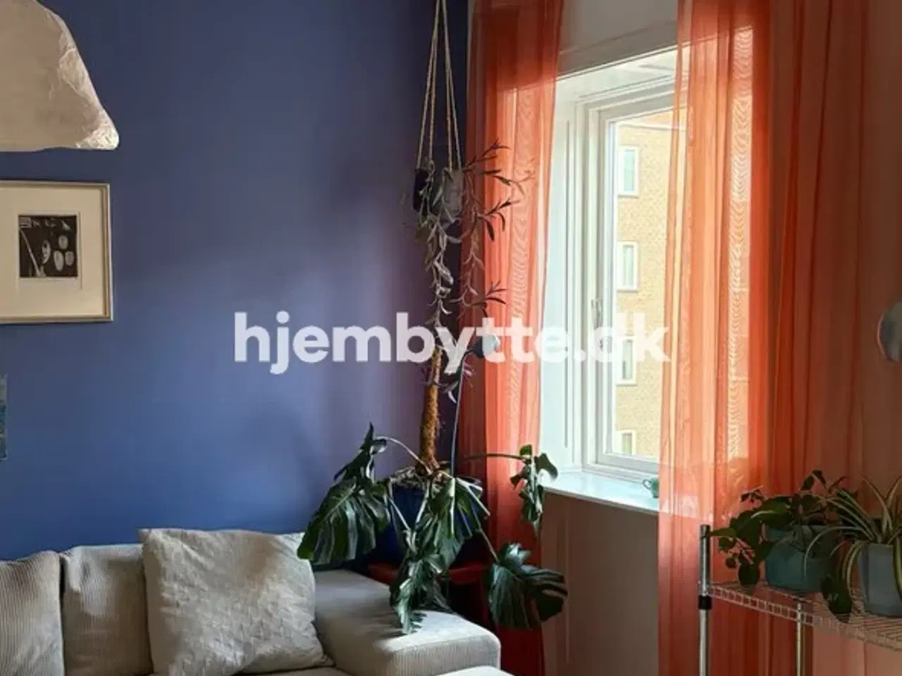 Billede 7 - Hjembytte - Birkedommervej