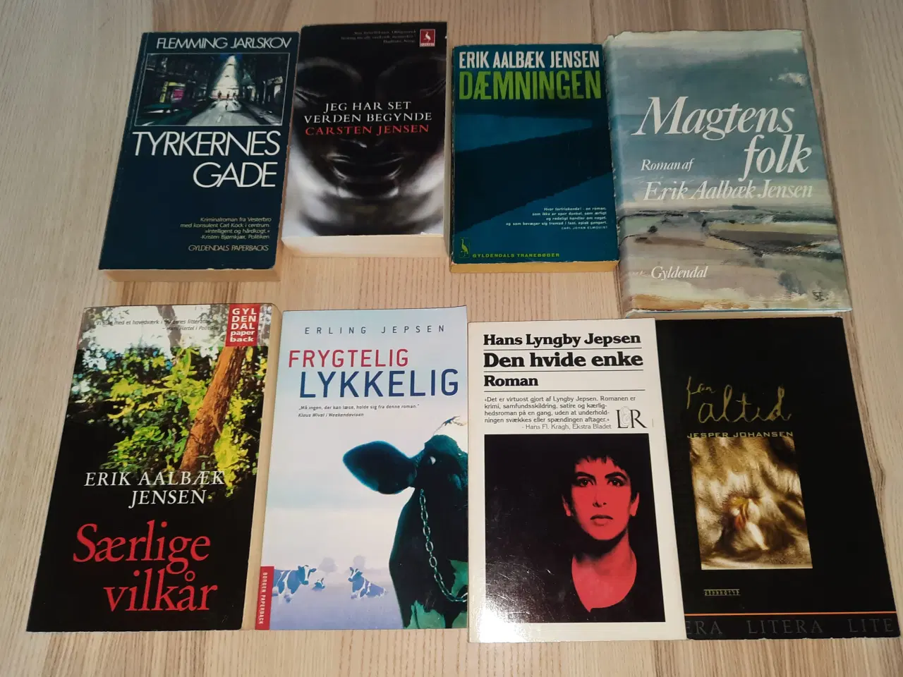 Billede 9 - Karen Fastrup, Udfordringen