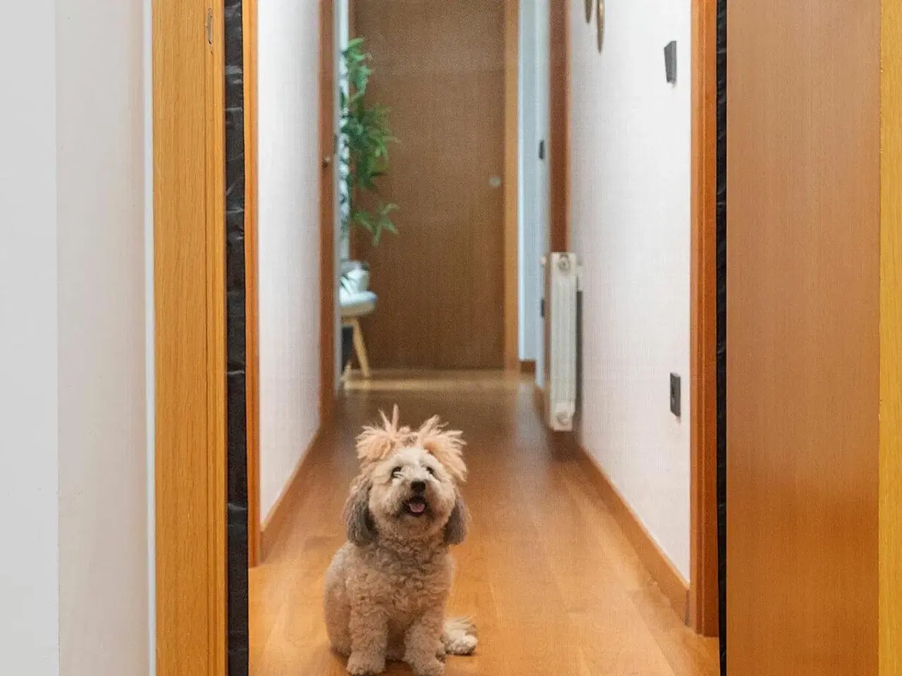 Billede 8 - Hundegitter sikkerhedsnet - Petinu, 112 × 73 cm