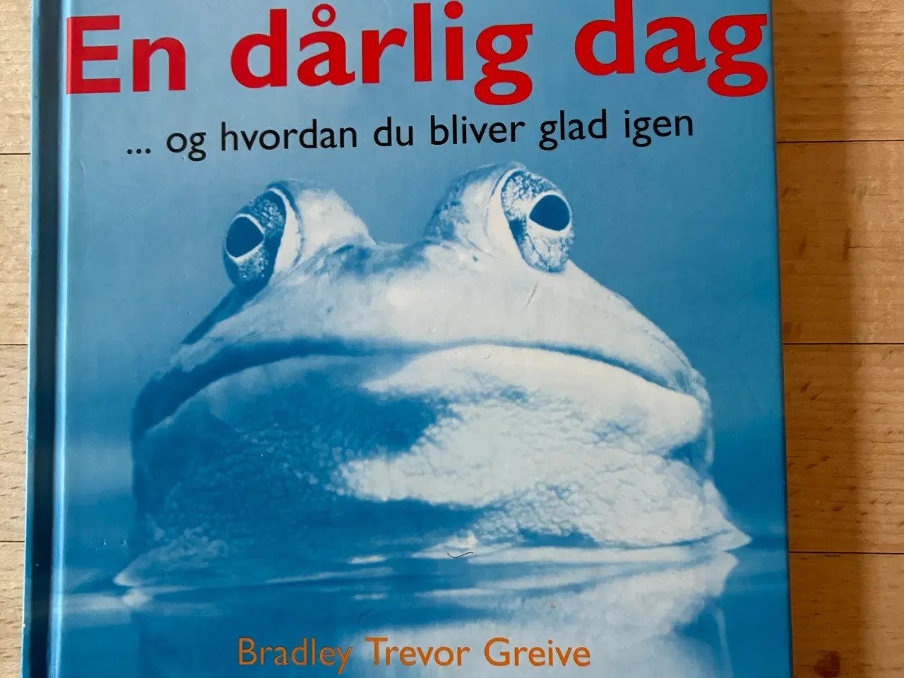 Billede 1 - En dårlig dag - og hvordan du bliver glad igen