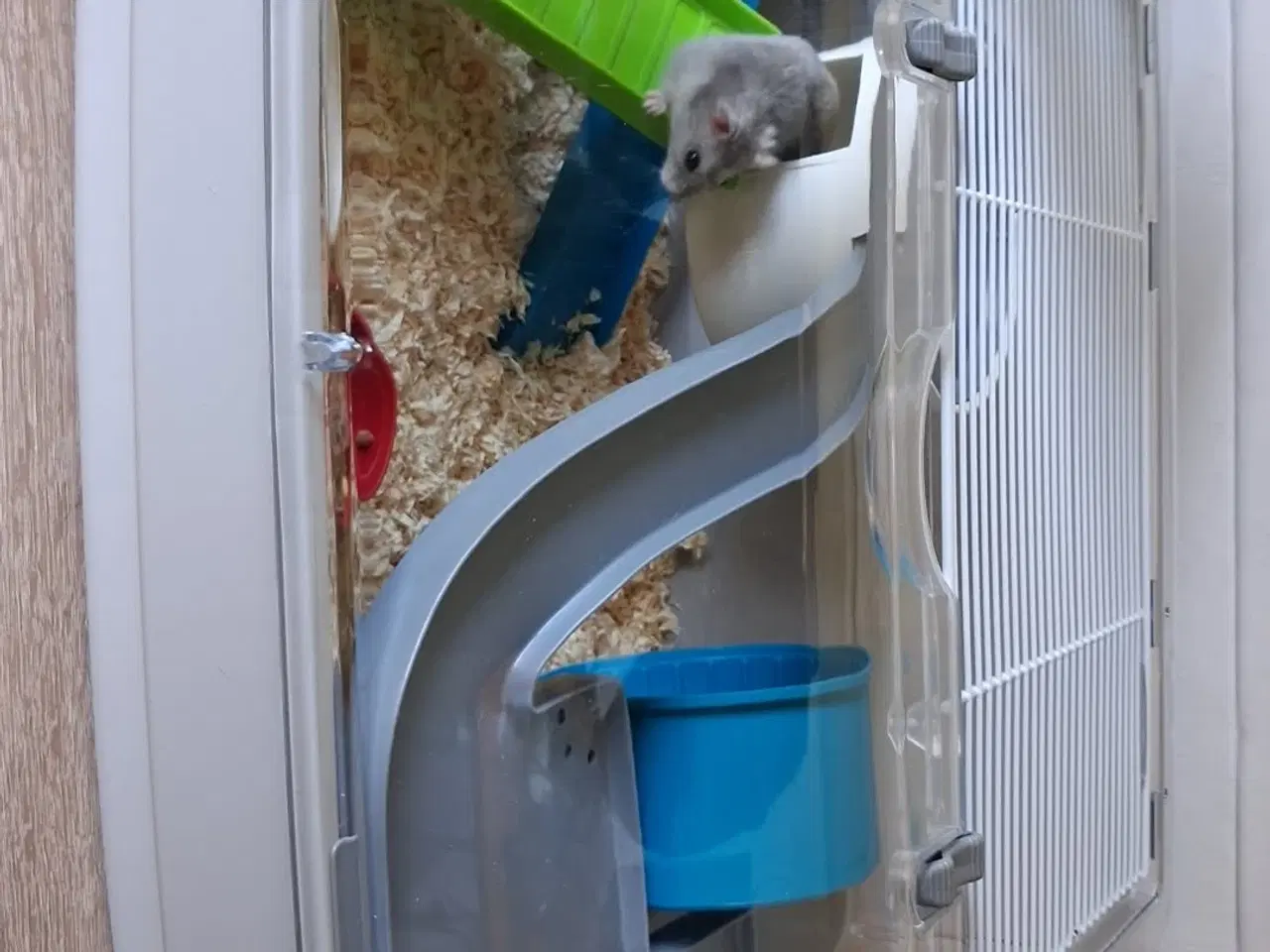 Billede 1 - Hamster bur