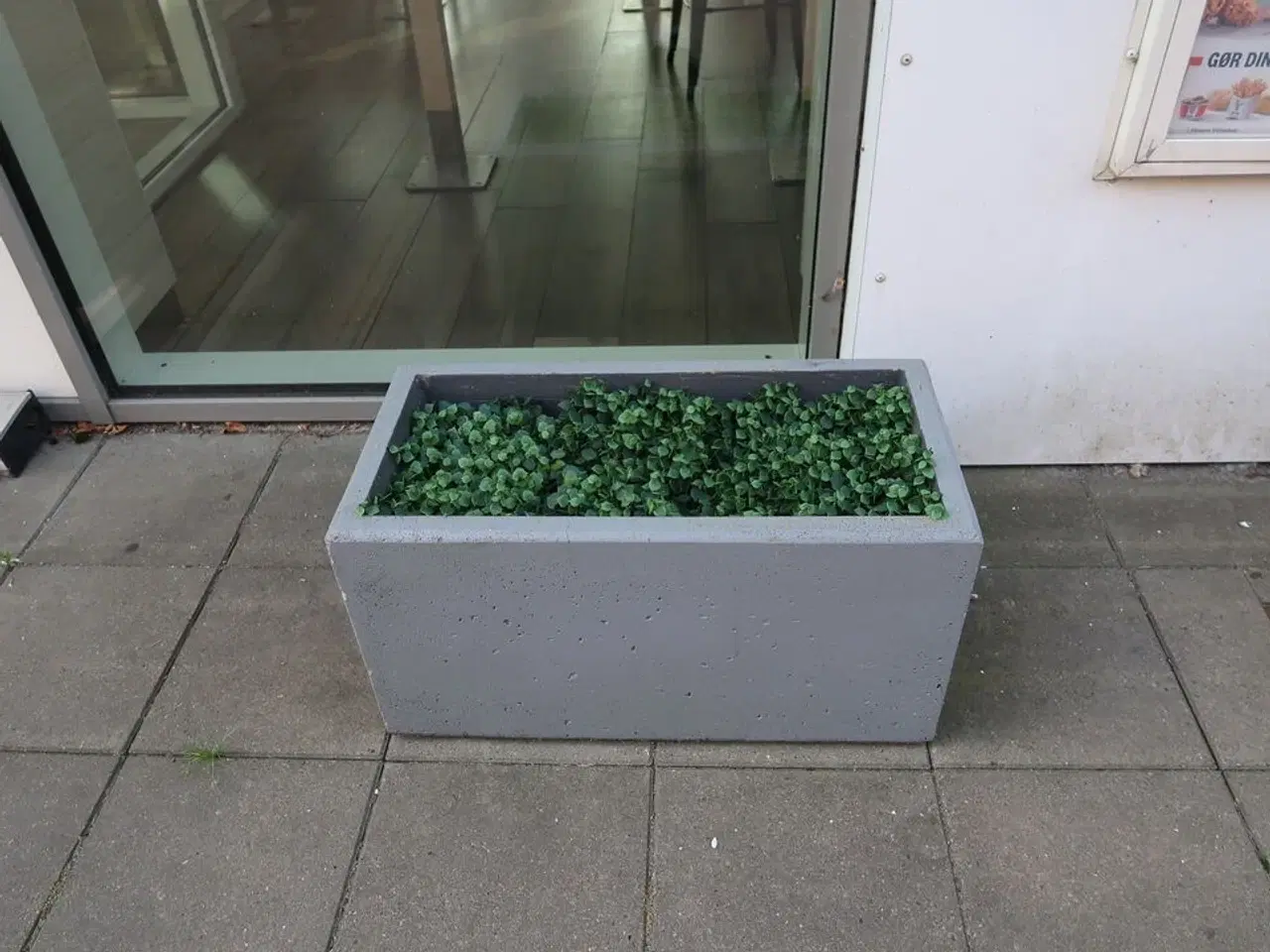 Billede 2 - 3 stk. planter i krukke