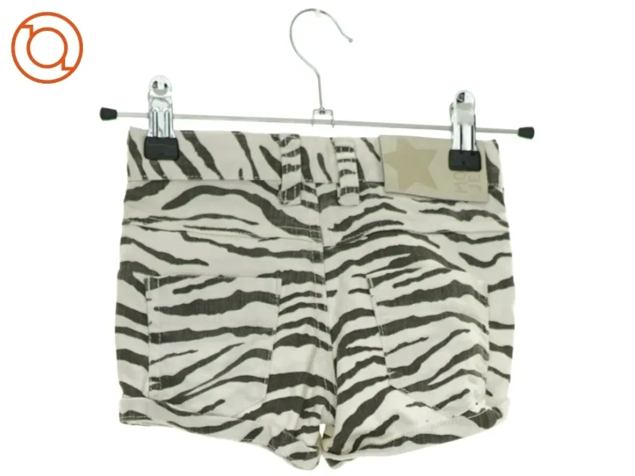 Billede 1 - Shorts fra Molo (NUM) (str. 110 cm)
