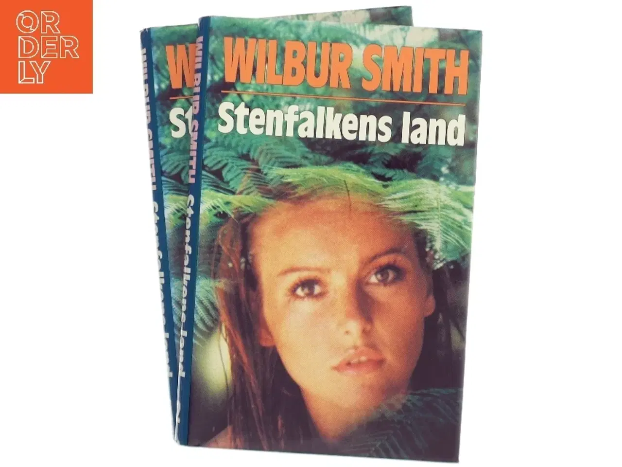 Billede 1 - Stenfalkens land af Wilbur Smith (Bog)