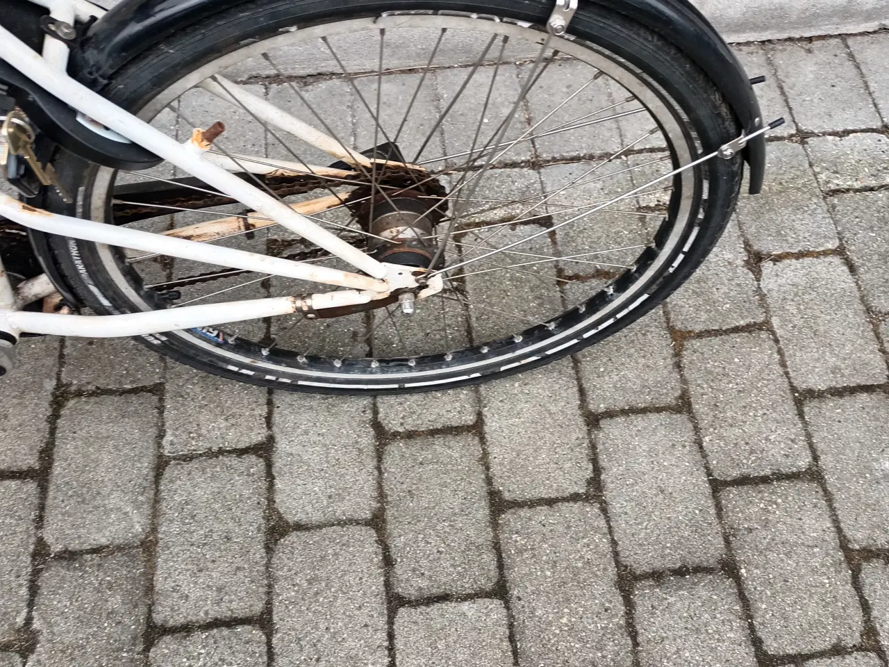 Billede 6 - Nihola family 