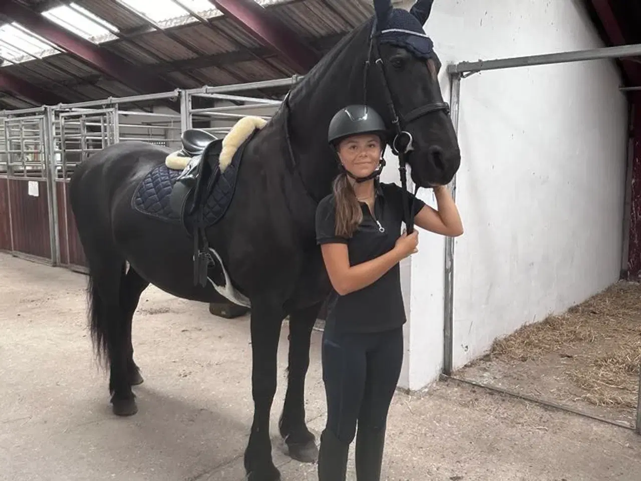 Billede 6 - Hest til salg