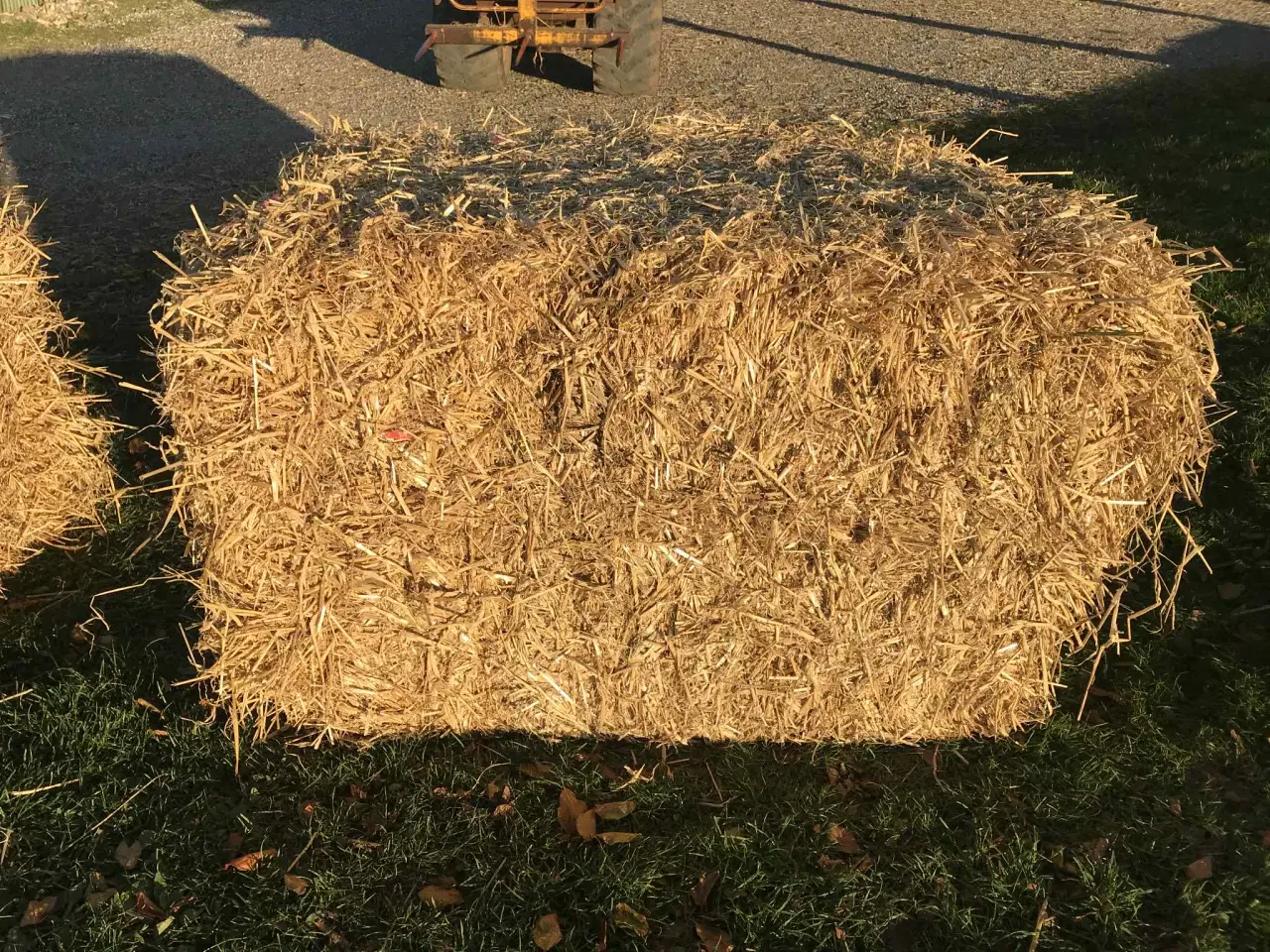 Billede 1 - Vårbyg halm