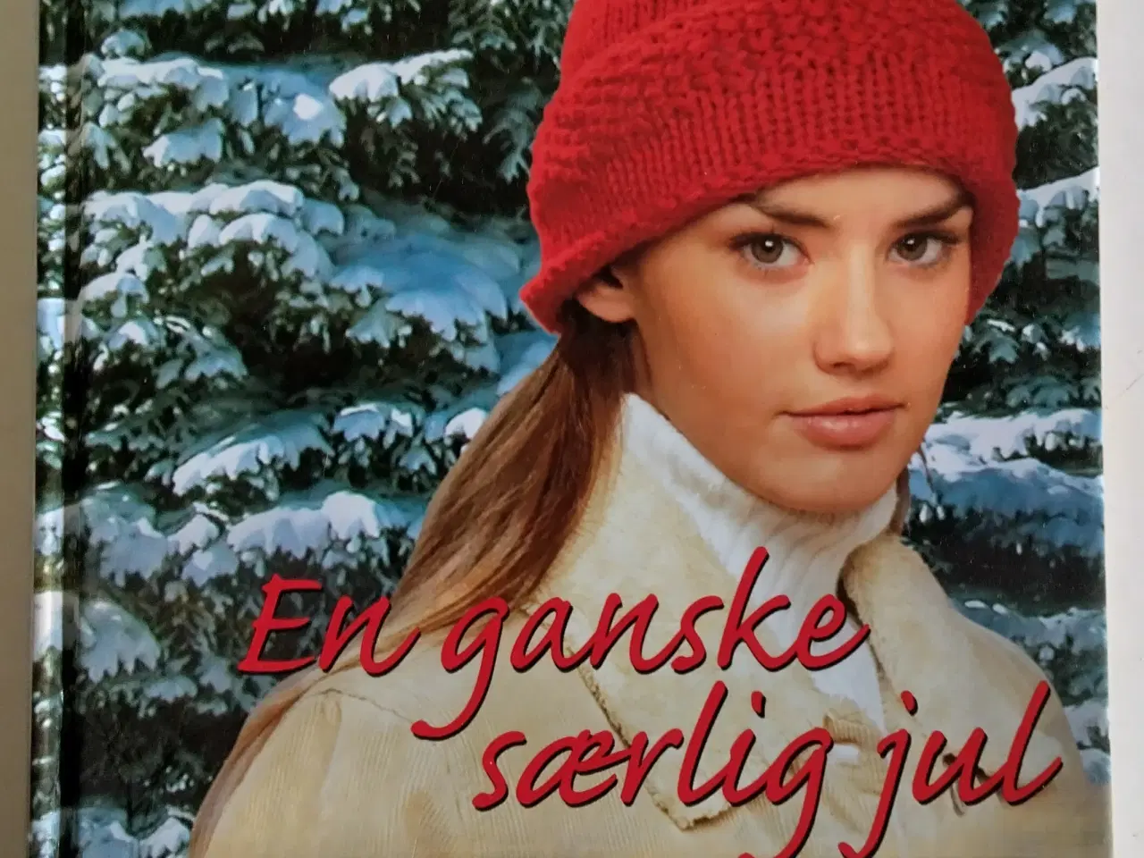 Billede 1 - Heartland