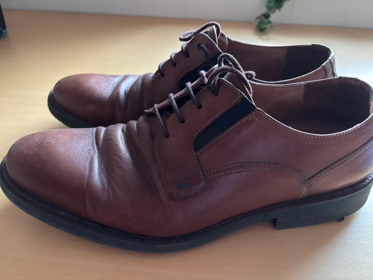 Billede 2 - LLOYD herresko