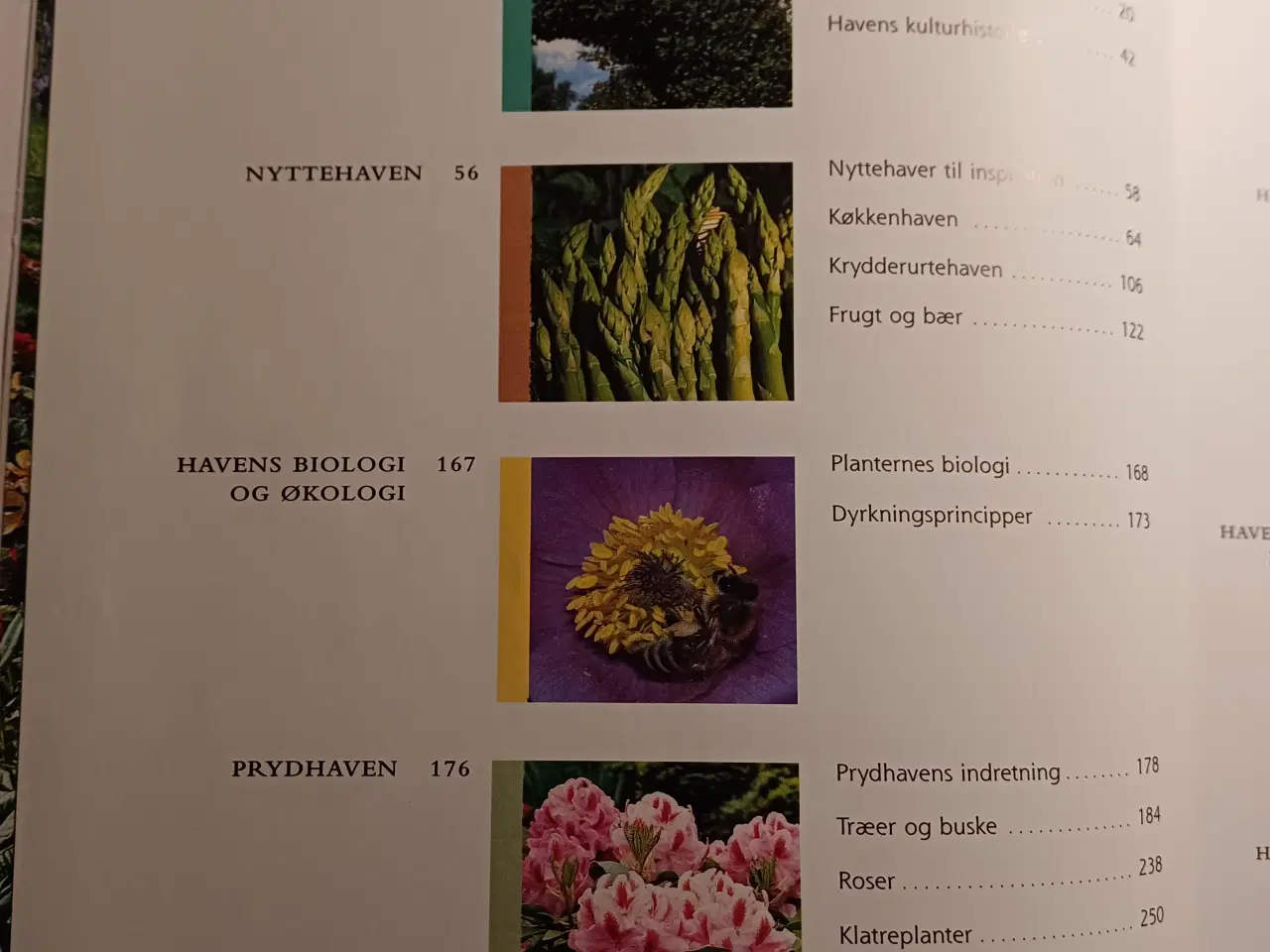 Billede 3 - Politikens Havebog - Danmarks førende grundbog.