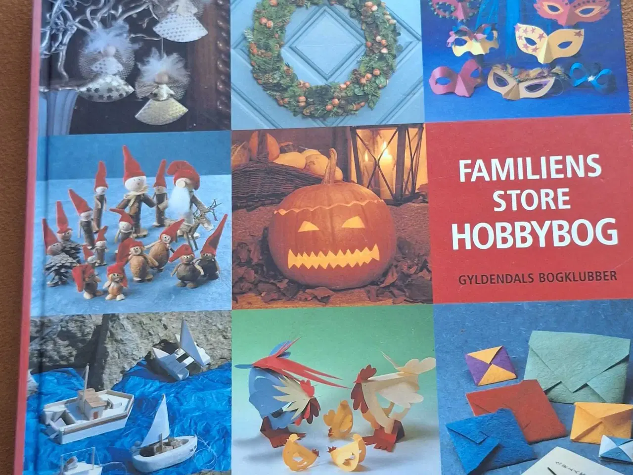 Billede 1 - Familiens store hobbybog 