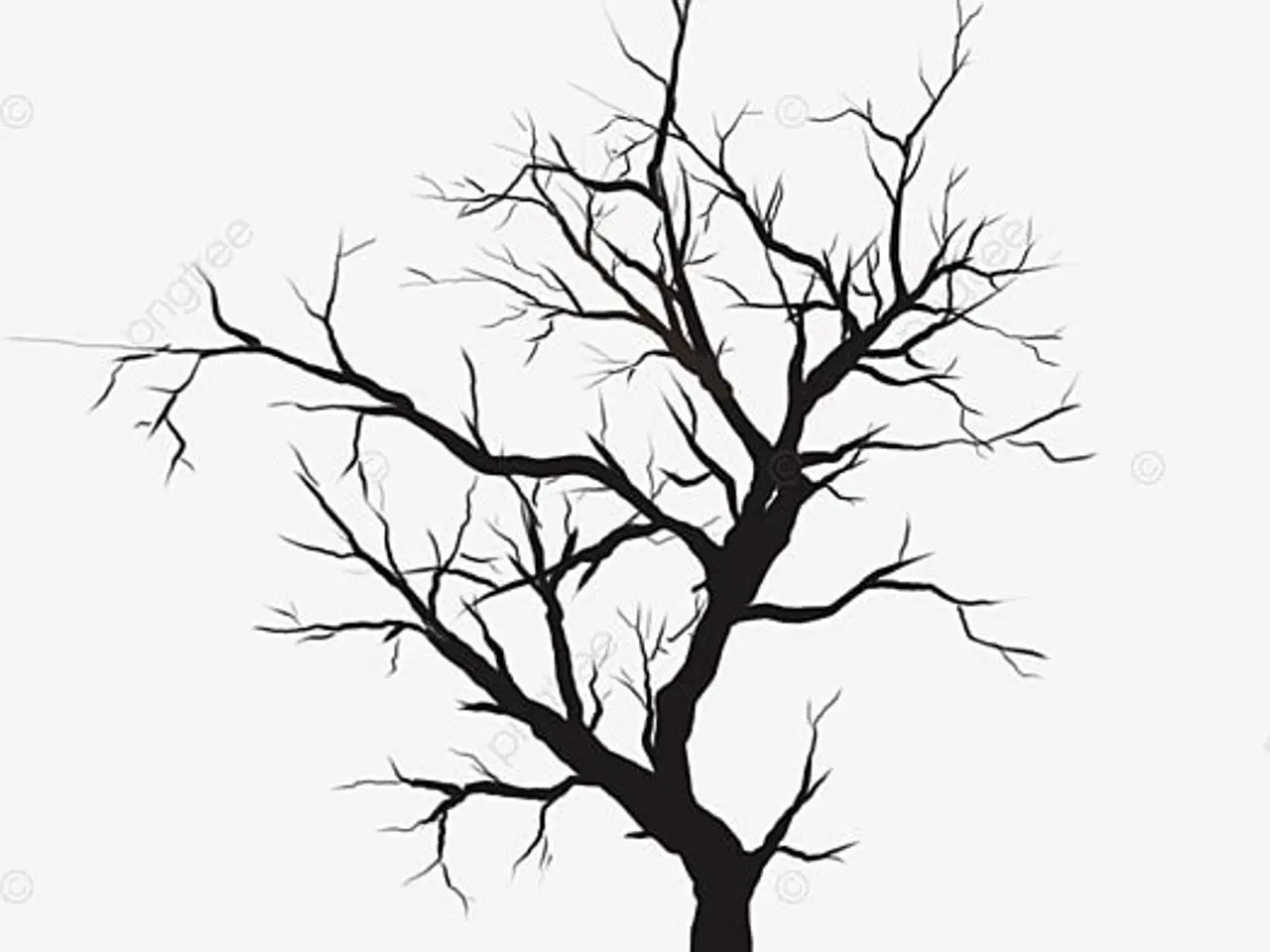 Billede 1 - 3 undulater i stort bur kan afhentes gratis