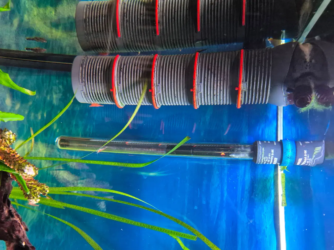 Billede 7 - Akvarium 240L med skab og tilbehør