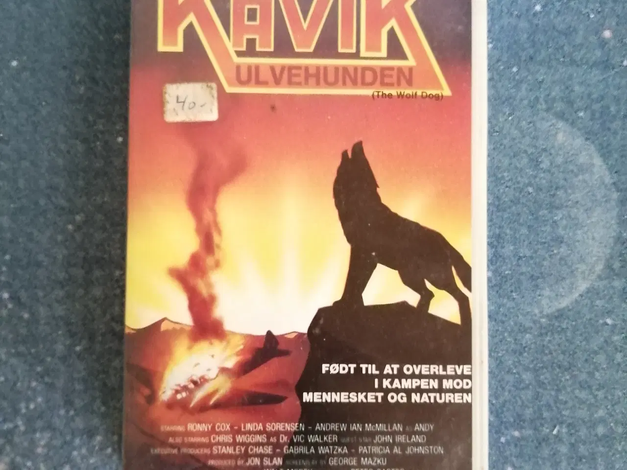 Billede 1 - Kavik Ulvehunden