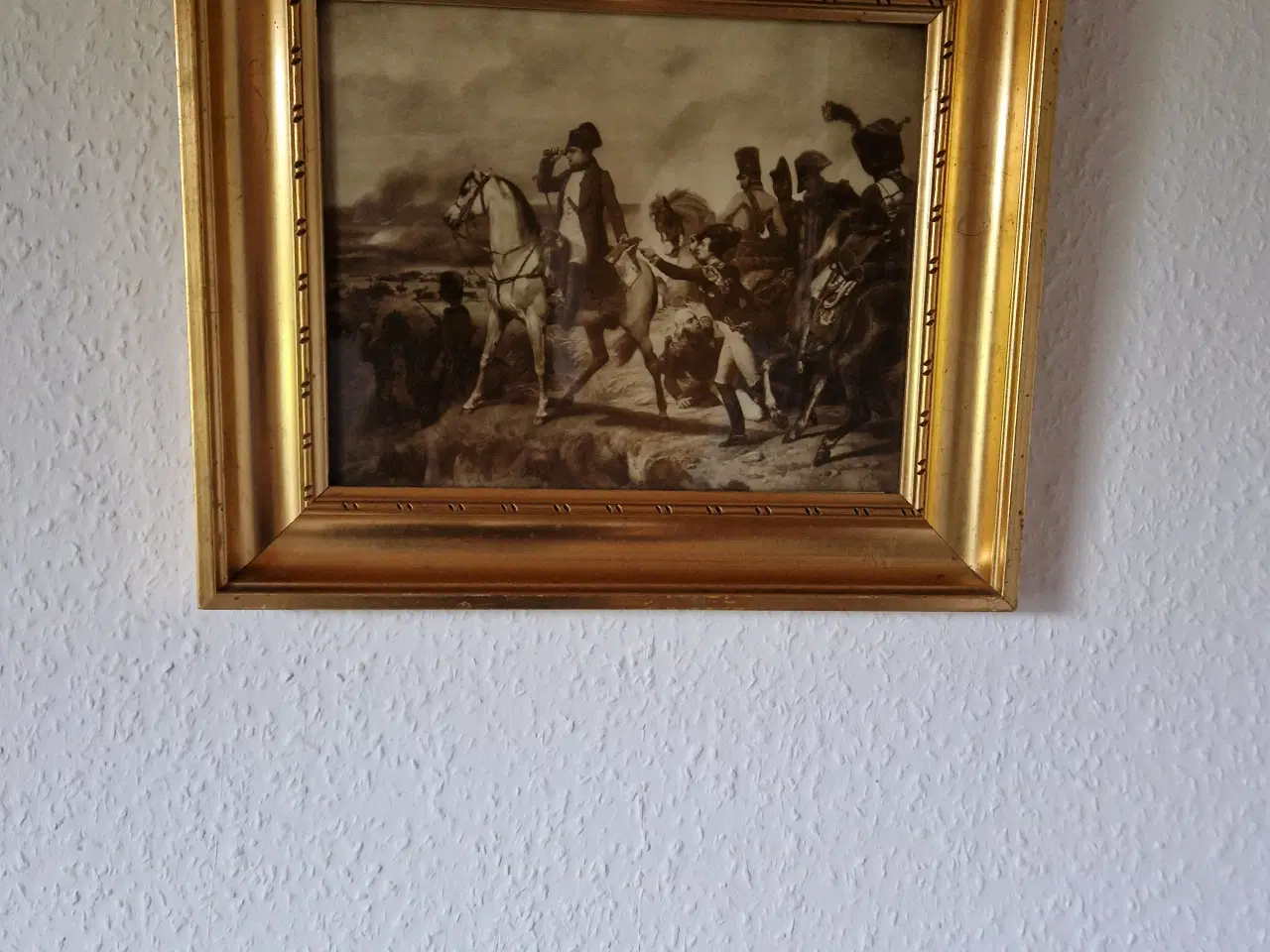 Billede 1 - Napoleon med sine soldater i Guldramme.
