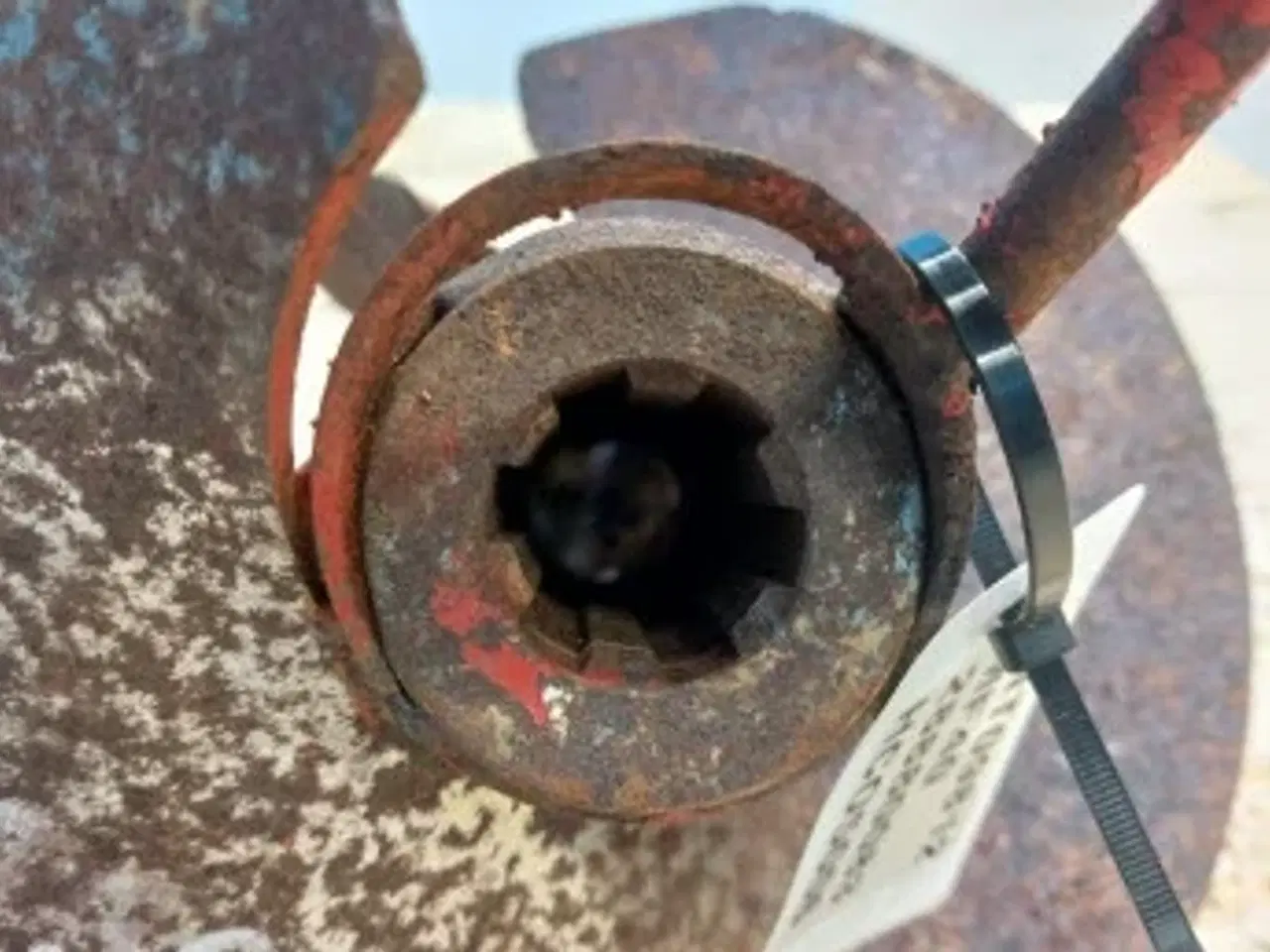 Billede 9 - Massey Ferguson Snegl 28880083