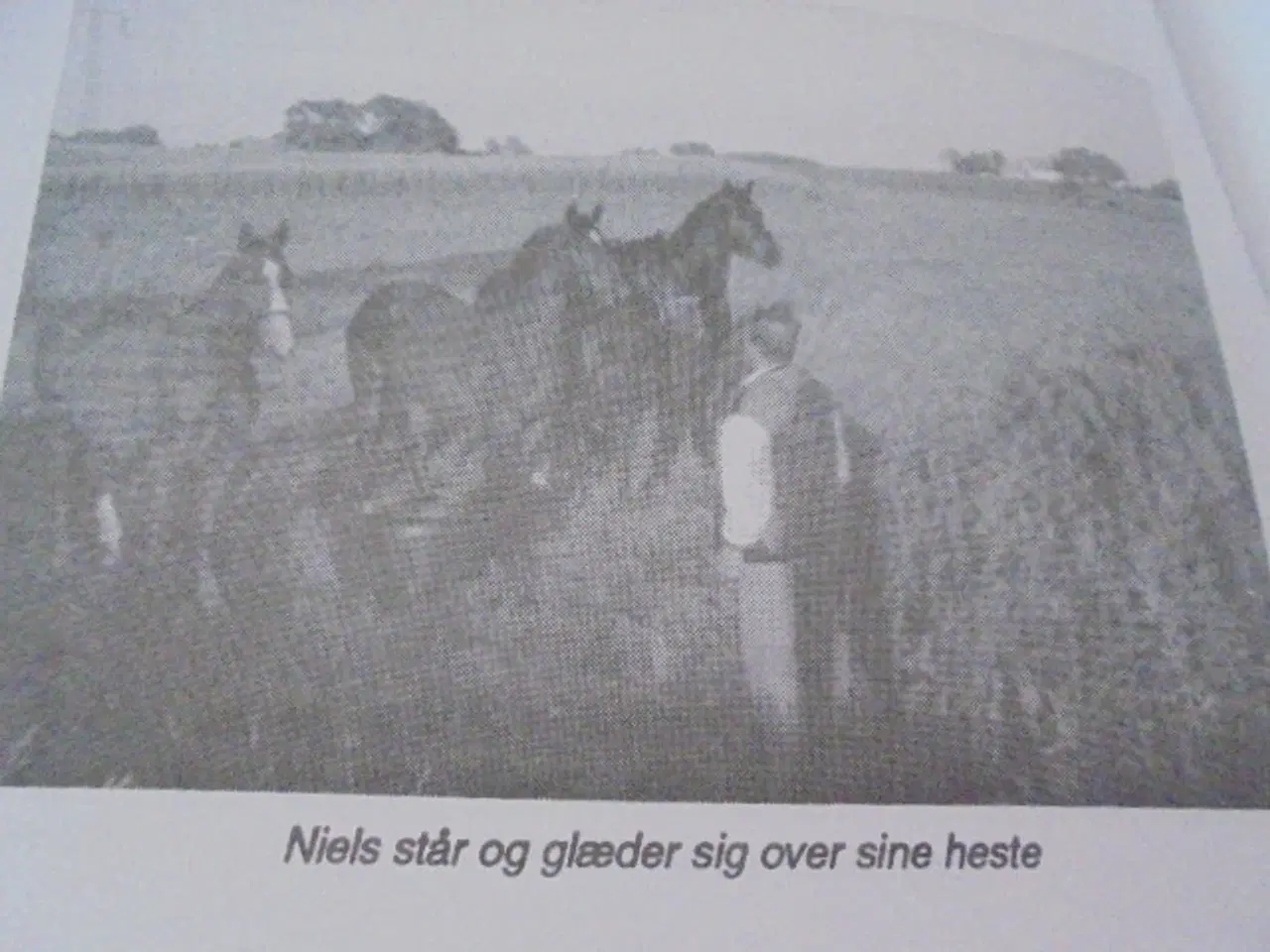 Billede 5 - Statshusmandsliv i Vendsyssel - god stand