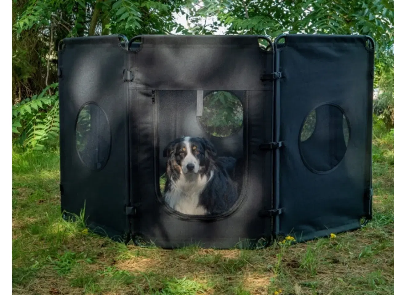 Billede 3 - CAMP4 Hundegård, Foldbar med 8 Paneler