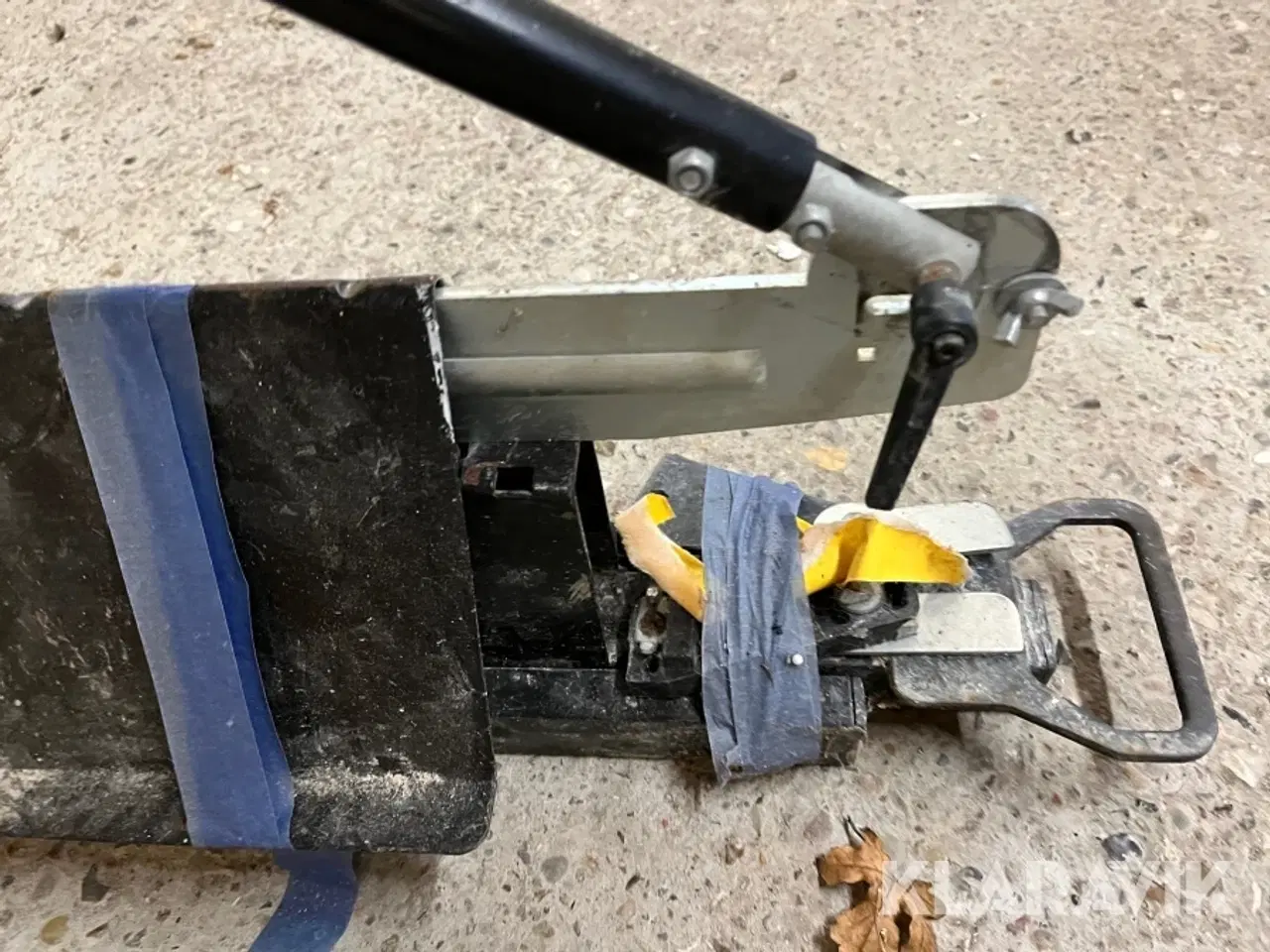 Billede 5 - Bukker Edma