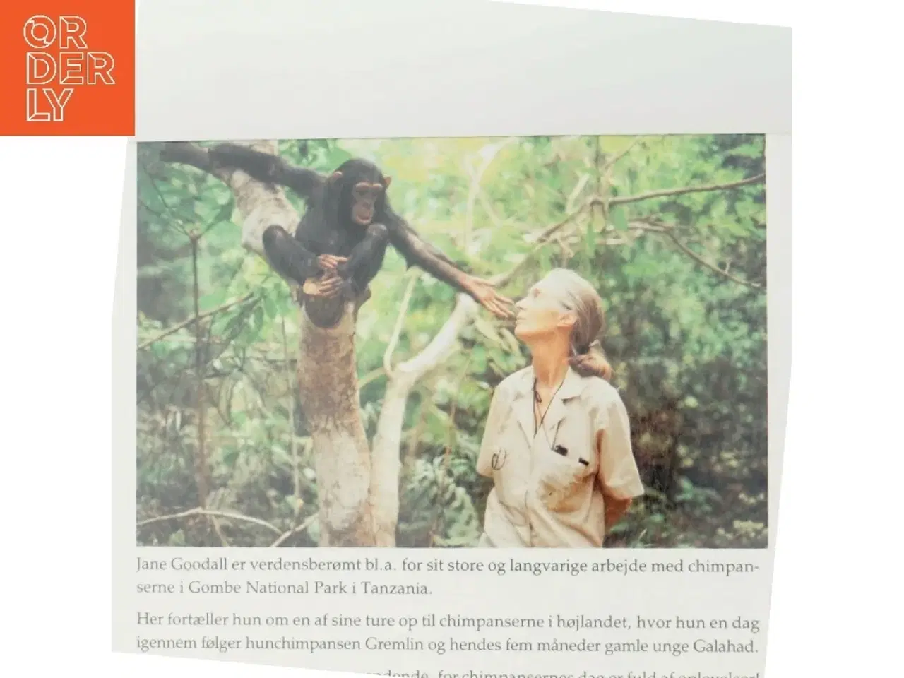 Billede 3 - Chimpansefamilien af Jane Goodall (Bog)