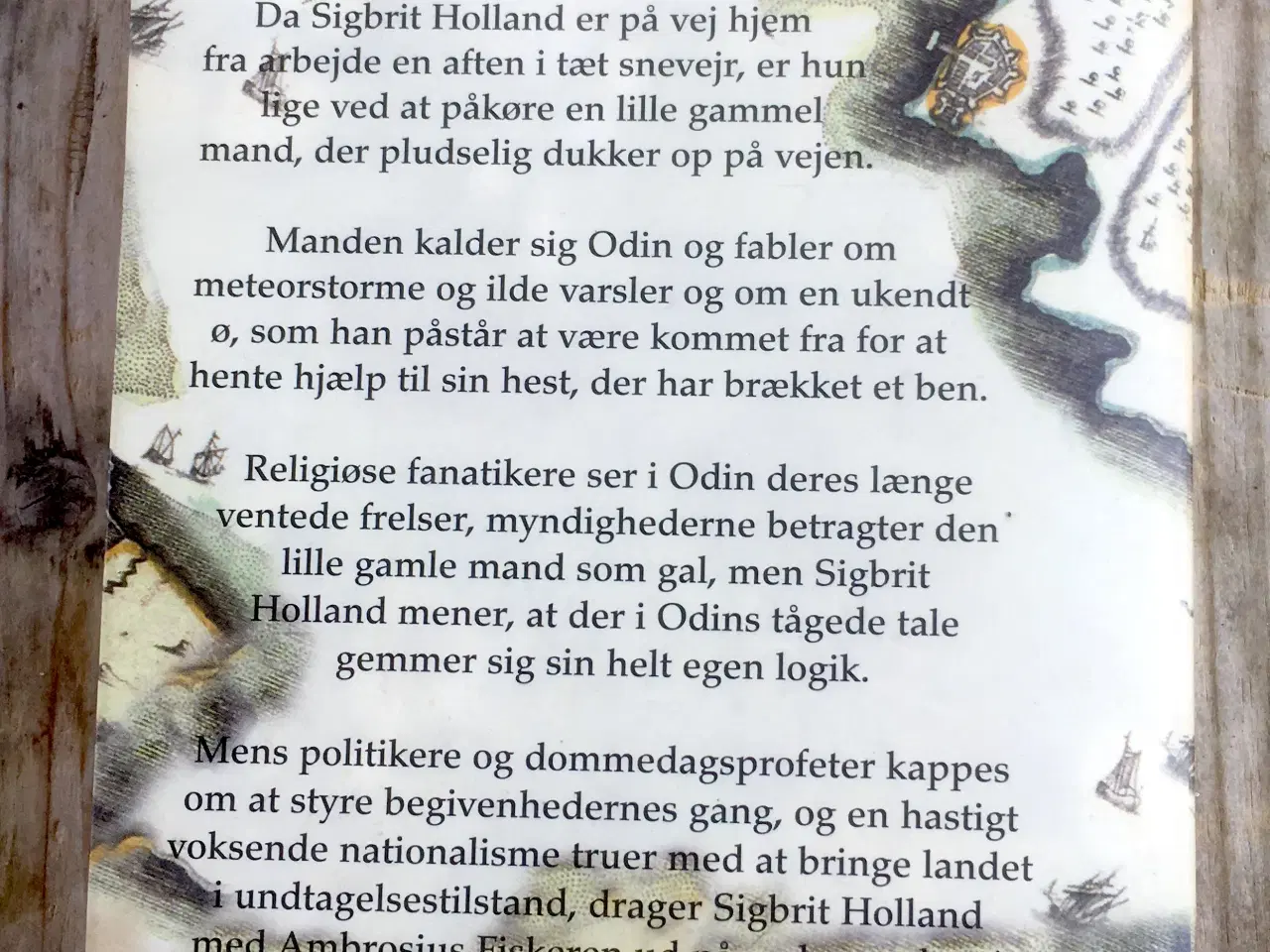 Billede 2 - Odins ø, Janne Teller, genre: drama