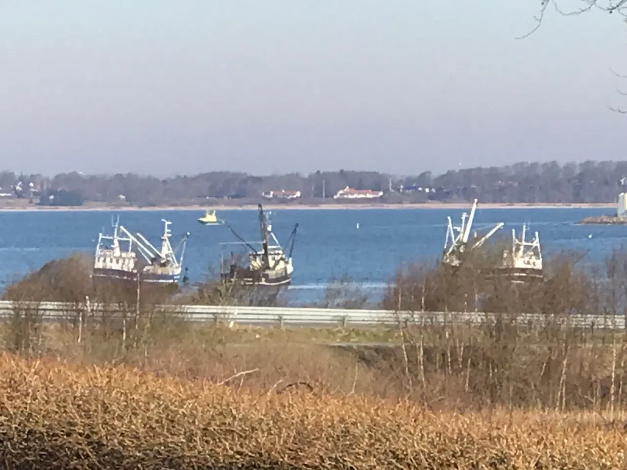 Billede 13 - 2 boliger v. skov, fjord og Glyngøre. 