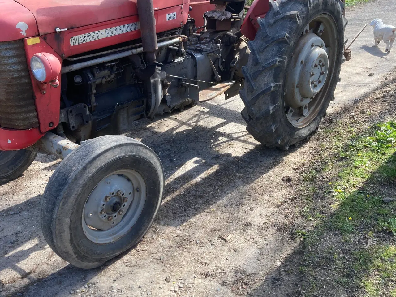 Billede 2 - Massey Ferguson 65 bud ønskes 