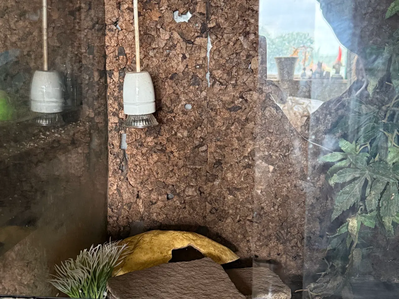 Billede 6 - Stor terrarie-reol med 7 terrarier og masser af ud