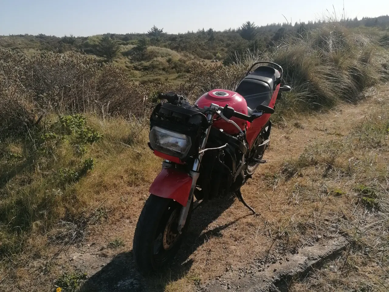 Billede 8 - Suzuki GSX 600f 