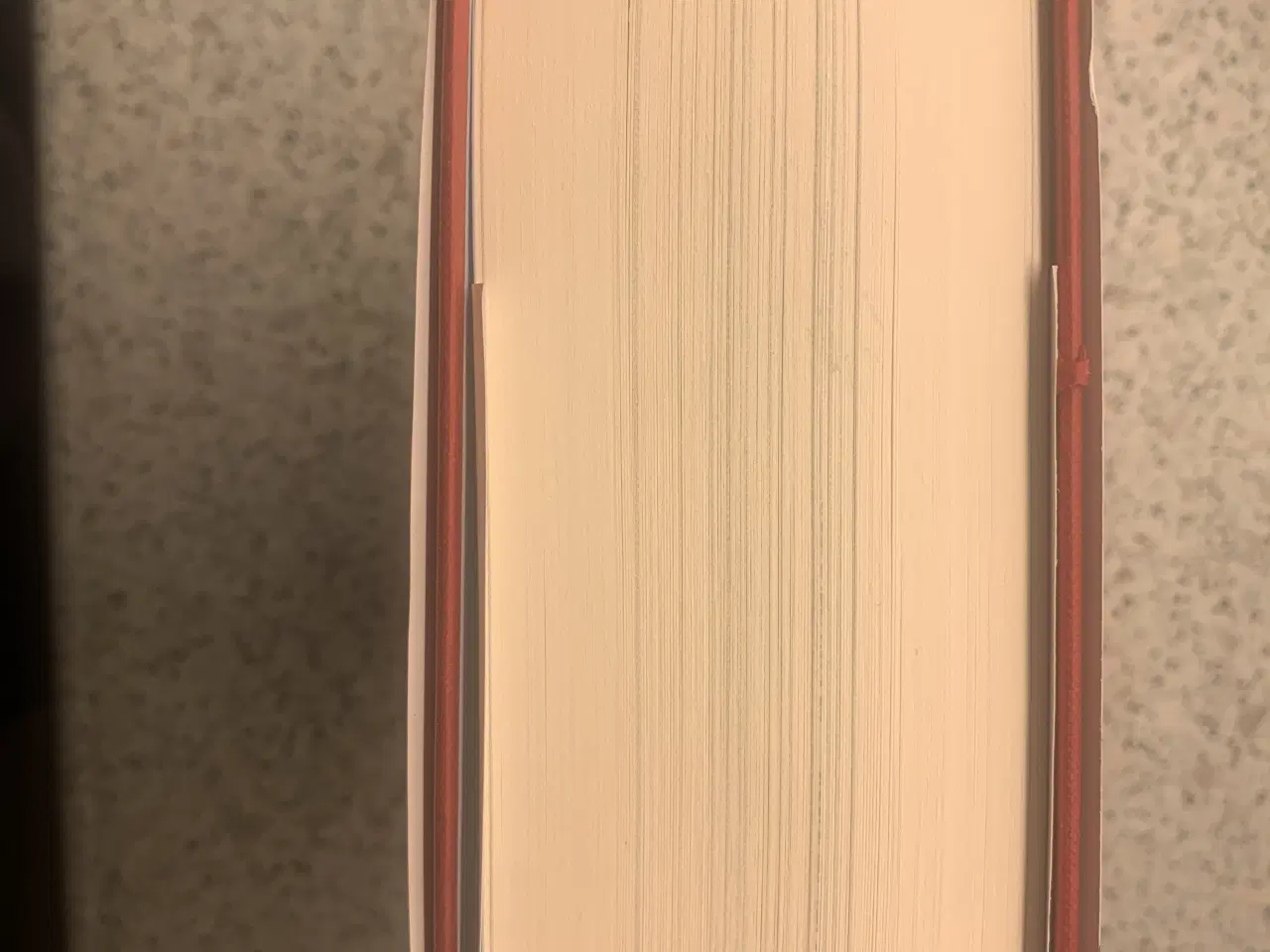 Billede 1 - Anne Frank The Collected Works