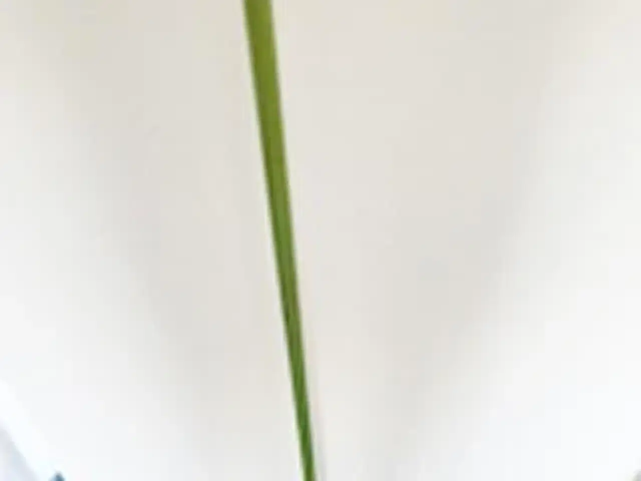 Billede 3 - Driver Ping