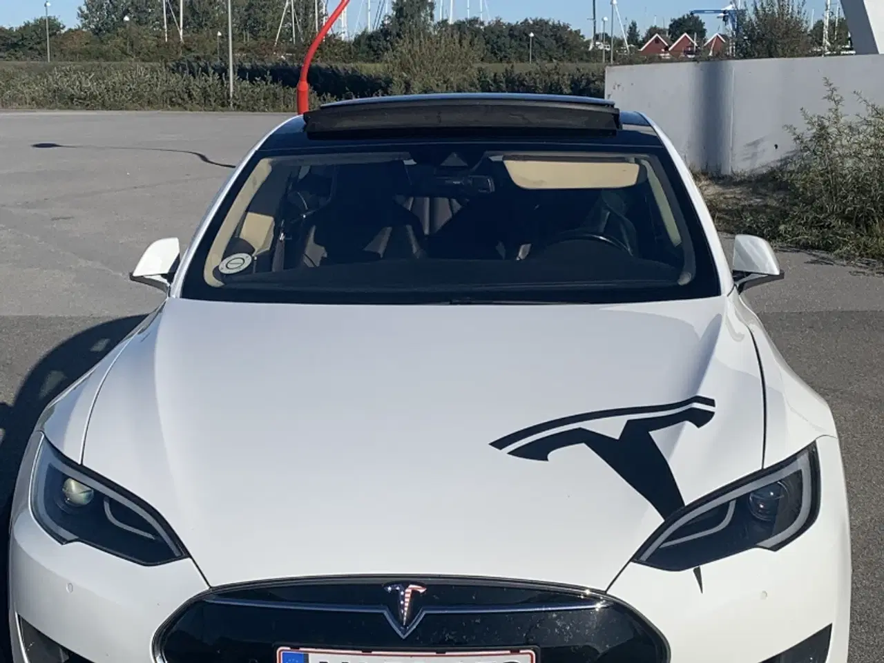 Billede 7 - EVETESLA - DRAGONTAIL - MODEL S - 21” GULDFÆLGE