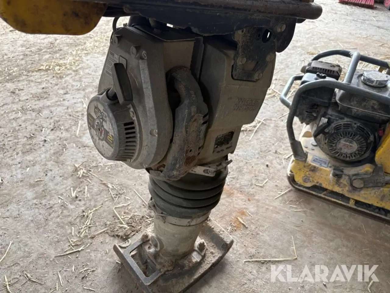 Billede 8 - Jordloppe Wacker Neuson Bs60-2i