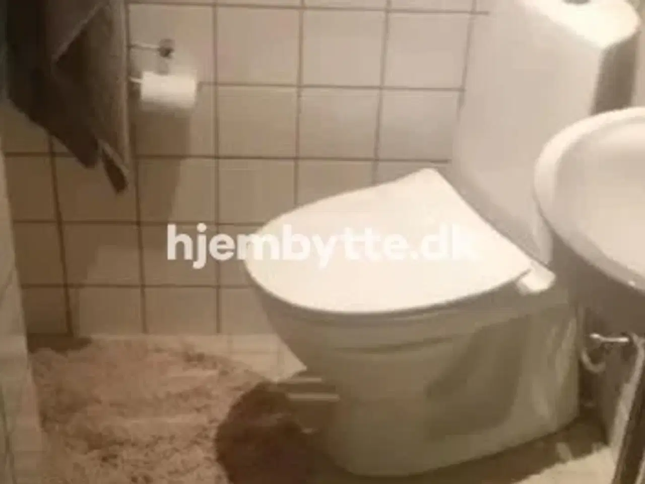 Billede 6 - Hjembytte - Lombardigade
