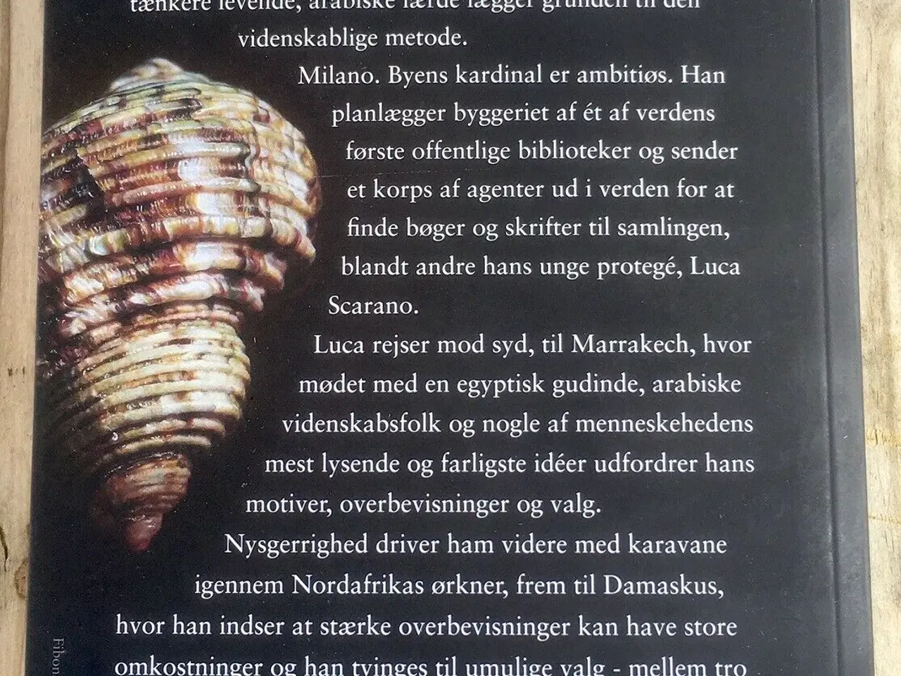 Billede 2 - Korsveje, Steen Søgaard, genre: historisk drama